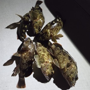 20250731_230327_コピー