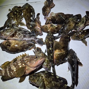 20250802_233341_コピー