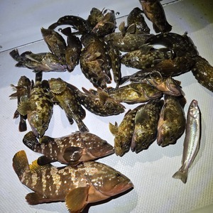 20250805_023958_コピー