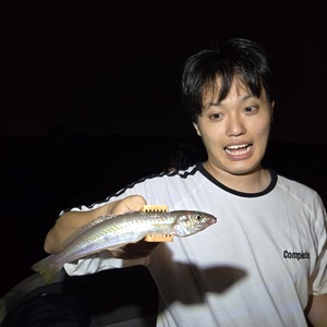 20250805_012928_コピー