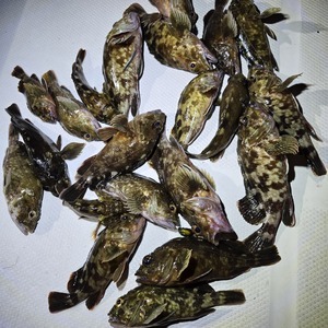 20250809_214256_コピー