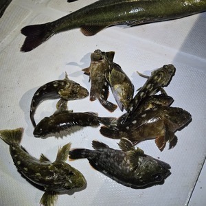 20250814_233232_コピー