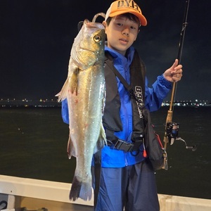 20250814_221414_コピー