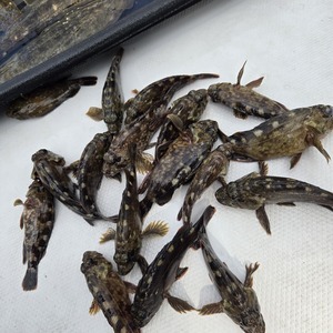 20250815_082544_コピー