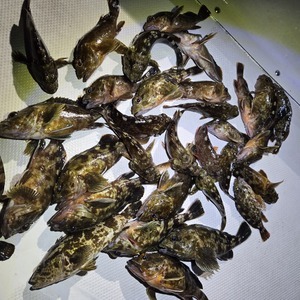 20250816_214050_コピー