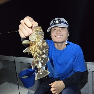 20250816_210512_コピー