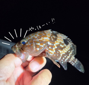 Screenshot_20250822_163411_Instagram_コピー