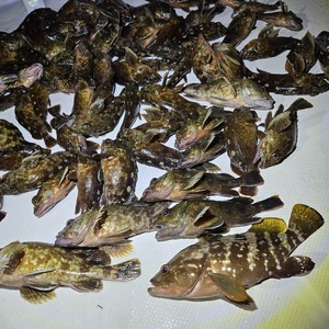 20250820_224954_コピー