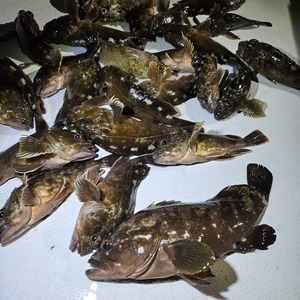 20250825_043502_コピー