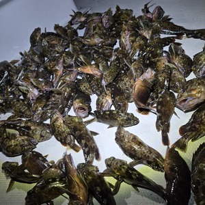 20250827_222534_コピー