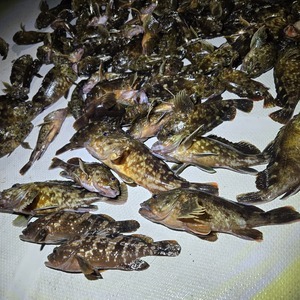 20250827_222454_コピー