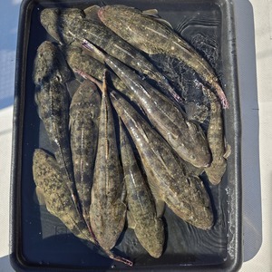 20250831_152308_コピー_コピー