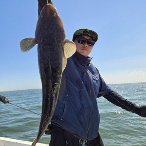 20250831_134530_コピー