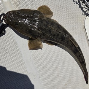 20250831_134053_コピー