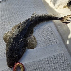 20250831_094754_コピー