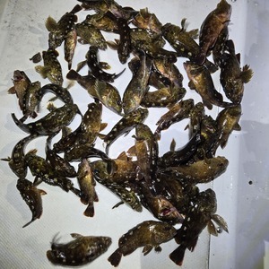 20250831_215323_コピー