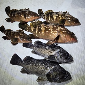 20250831_214958_コピー