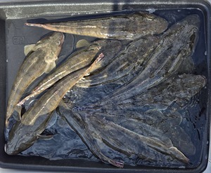 20250902_152614_コピー