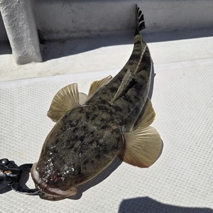 20250902_123632_コピー