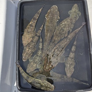 20250903_111912_コピー