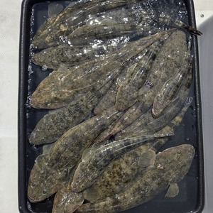 20250903_114544_コピー