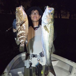 20250906_235042_コピー