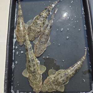 20250907_122905_コピー