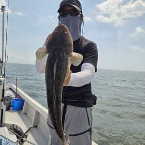 20250907_113247_コピー