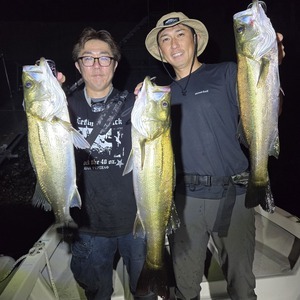 20250907_235239_コピー