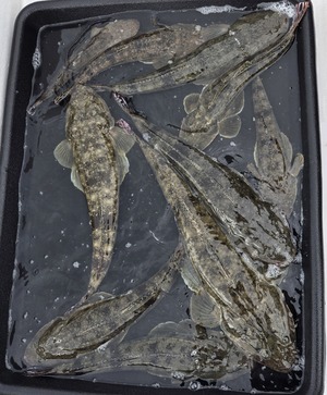 20250912_133140_コピー