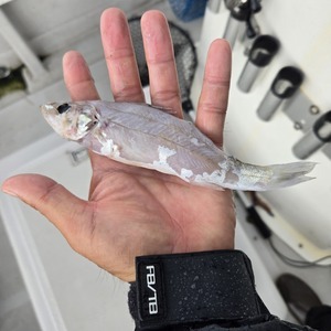 20250912_100932_コピー