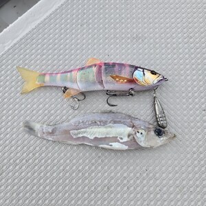 20250912_100918_コピー