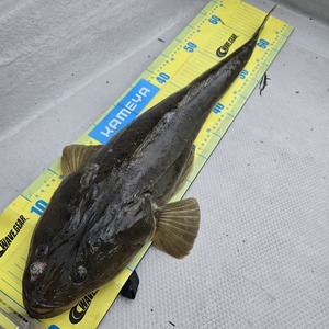 20250912_094731_コピー