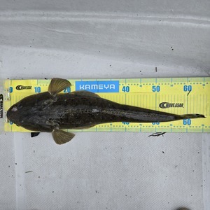 20250912_094724_コピー