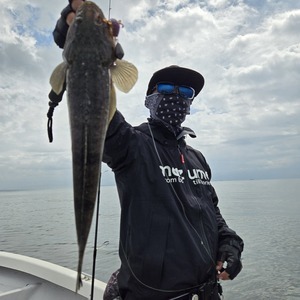 20250912_115011_コピー