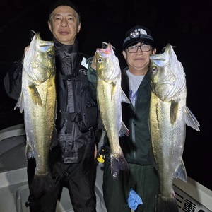 20250913_005047_コピー