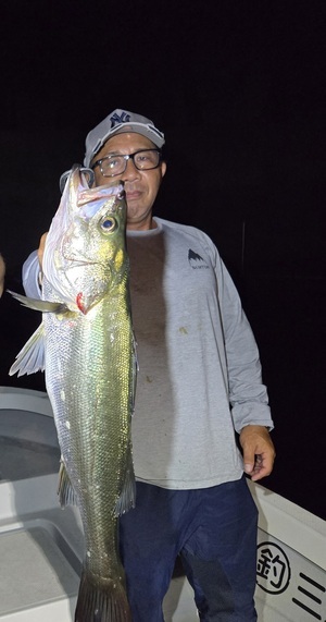 20250913_234443_コピー