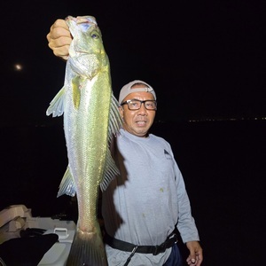 20250913_224102_コピー