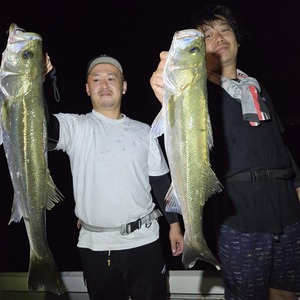 20250914_023156_コピー