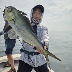 20250914_090318_コピー