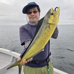 20250914_062448_コピー