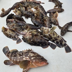 20250915_083516_コピー