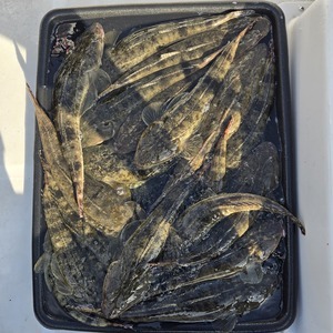 20250915_155625_コピー