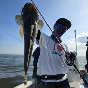 20250915_151646_コピー