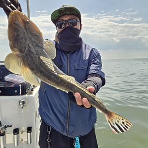 20250915_121114_コピー