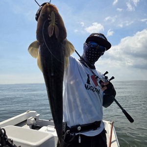 20250915_111509_コピー