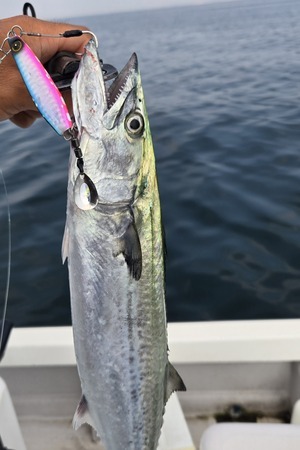 20250917_131018_コピー