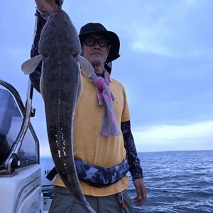 20250920_060811_コピー