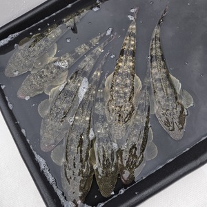 20250920_102406_コピー