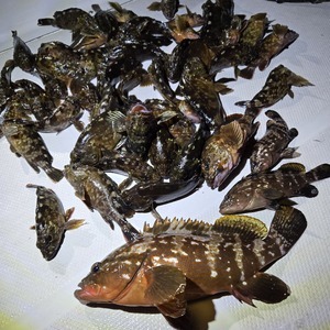 20250921_223849_コピー